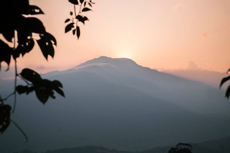 Sunset Nature